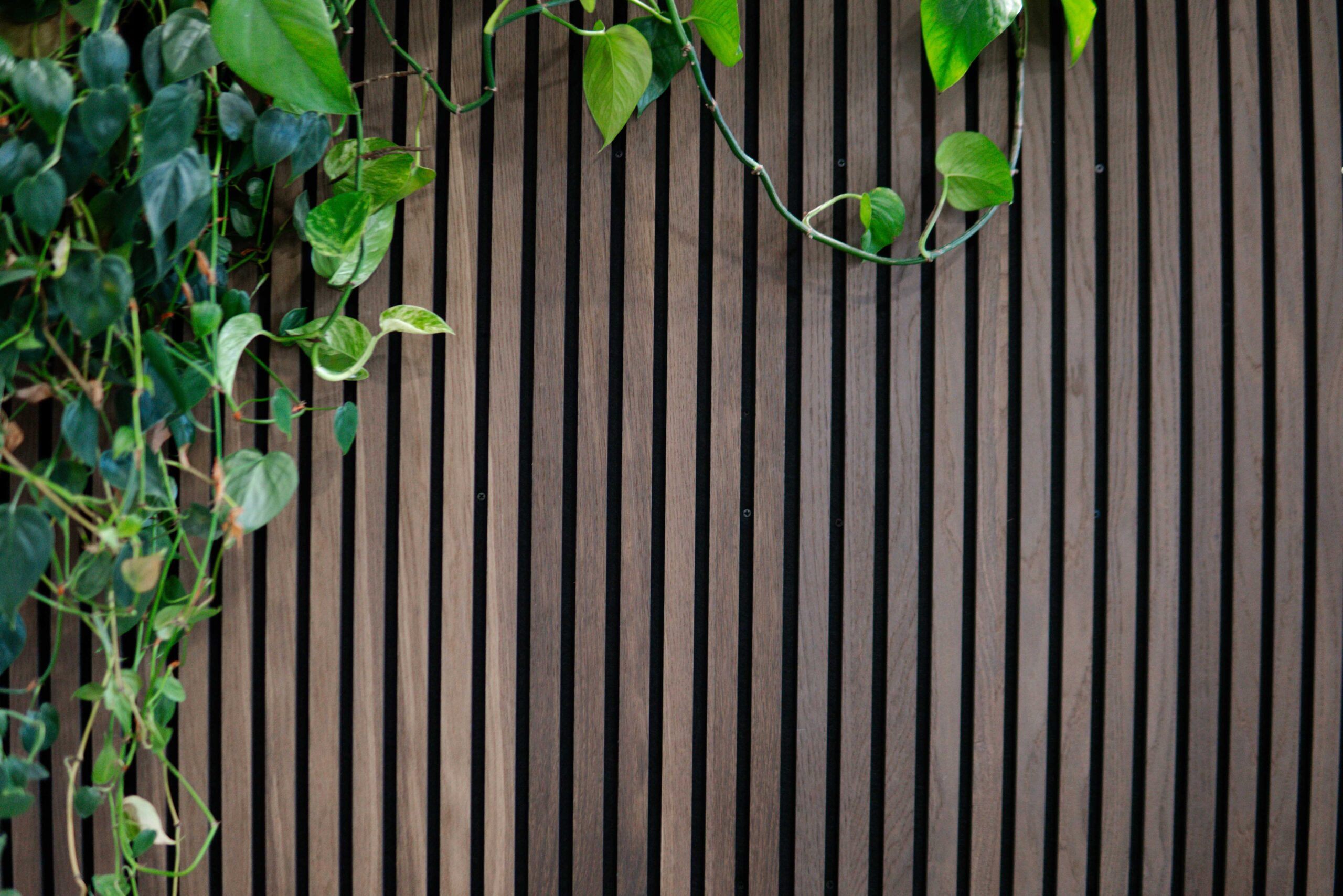 Iron And Ivy Queenstown Salon Feature Wall Wood Slats Pothos Greenery