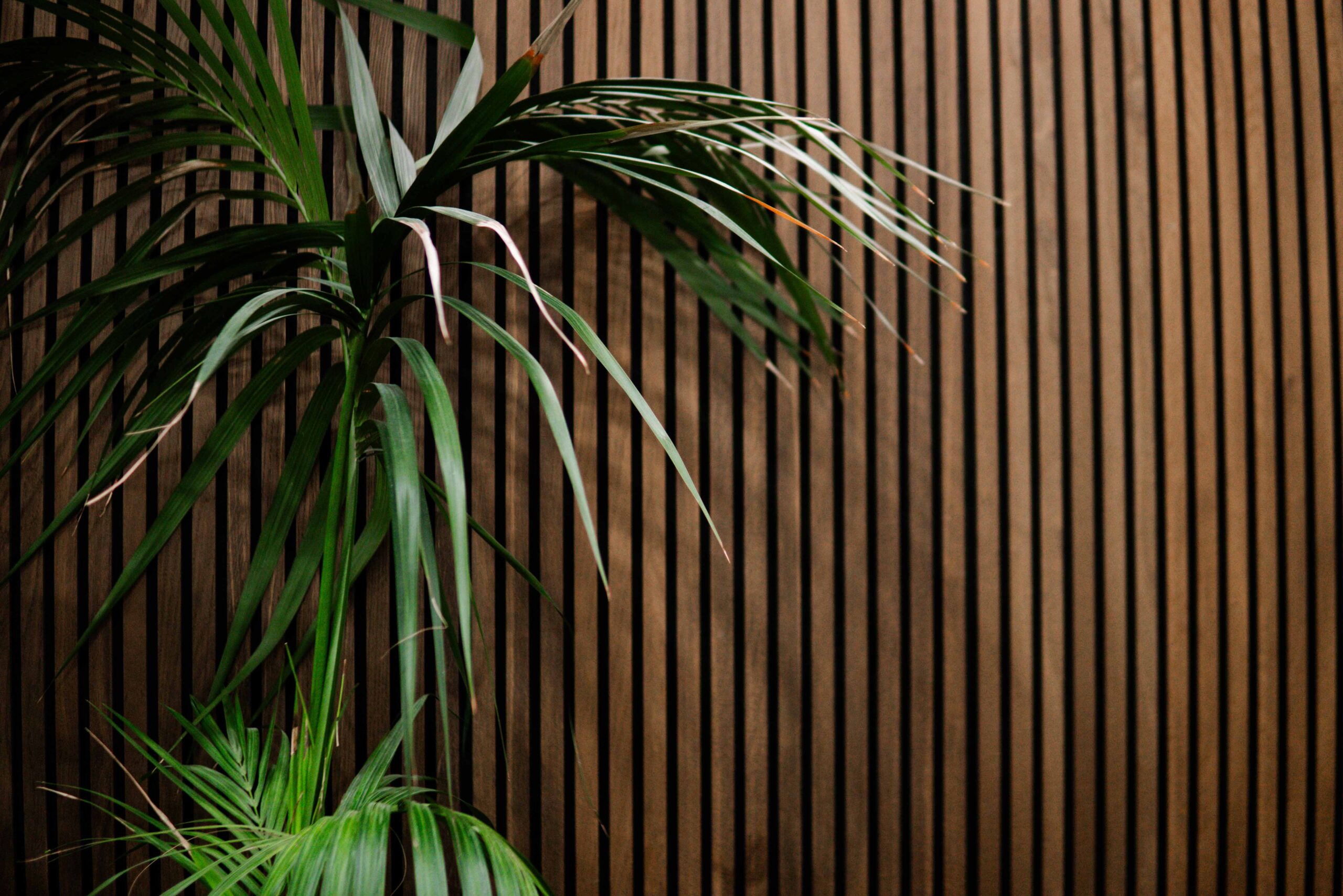 Iron + Ivy Hair Studio interior, Queenstown Central